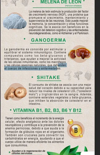 MELENA DE LEON 450GR